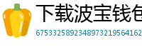 下载波宝钱包